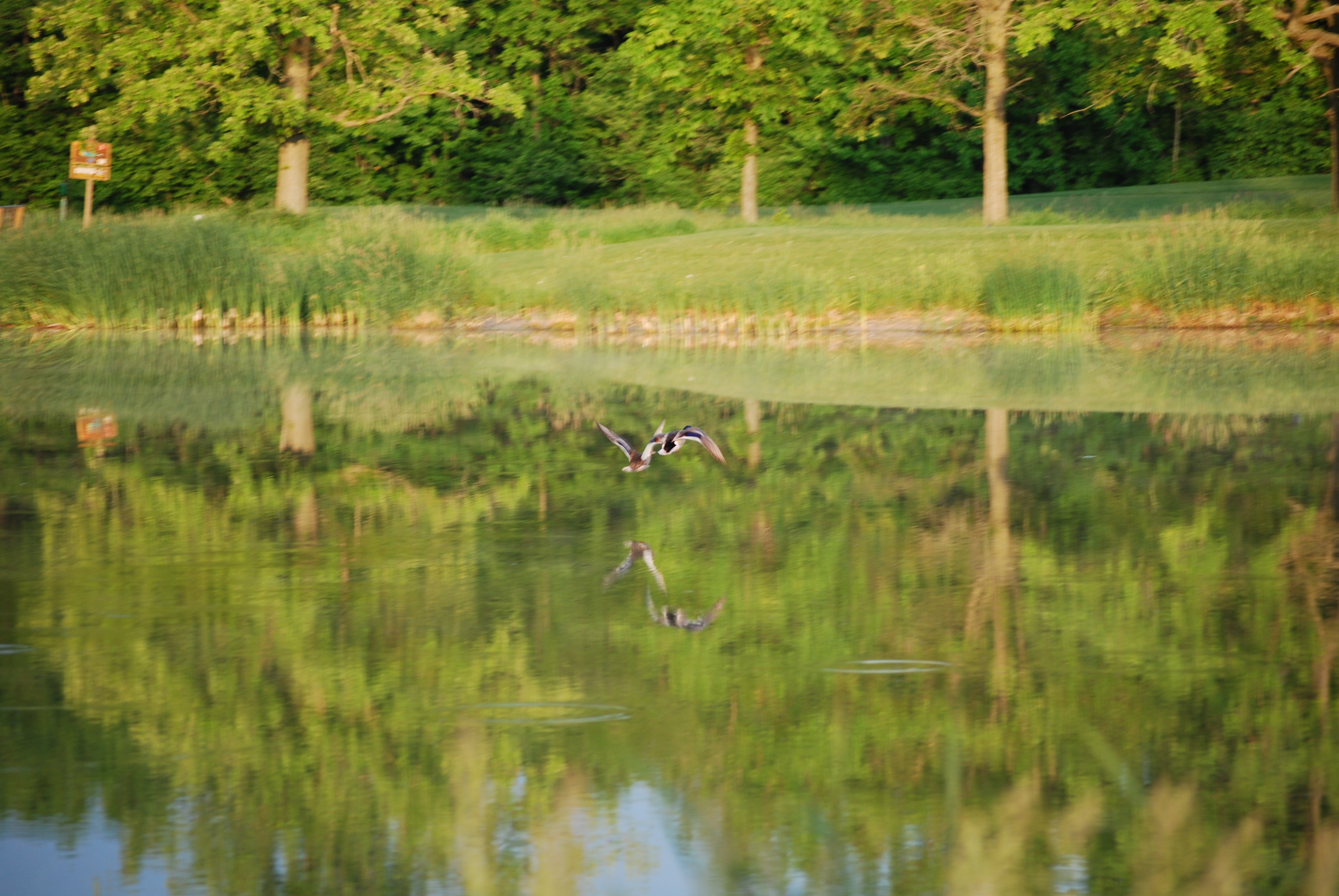 /img/DSC_0137-3872x2592.jpg