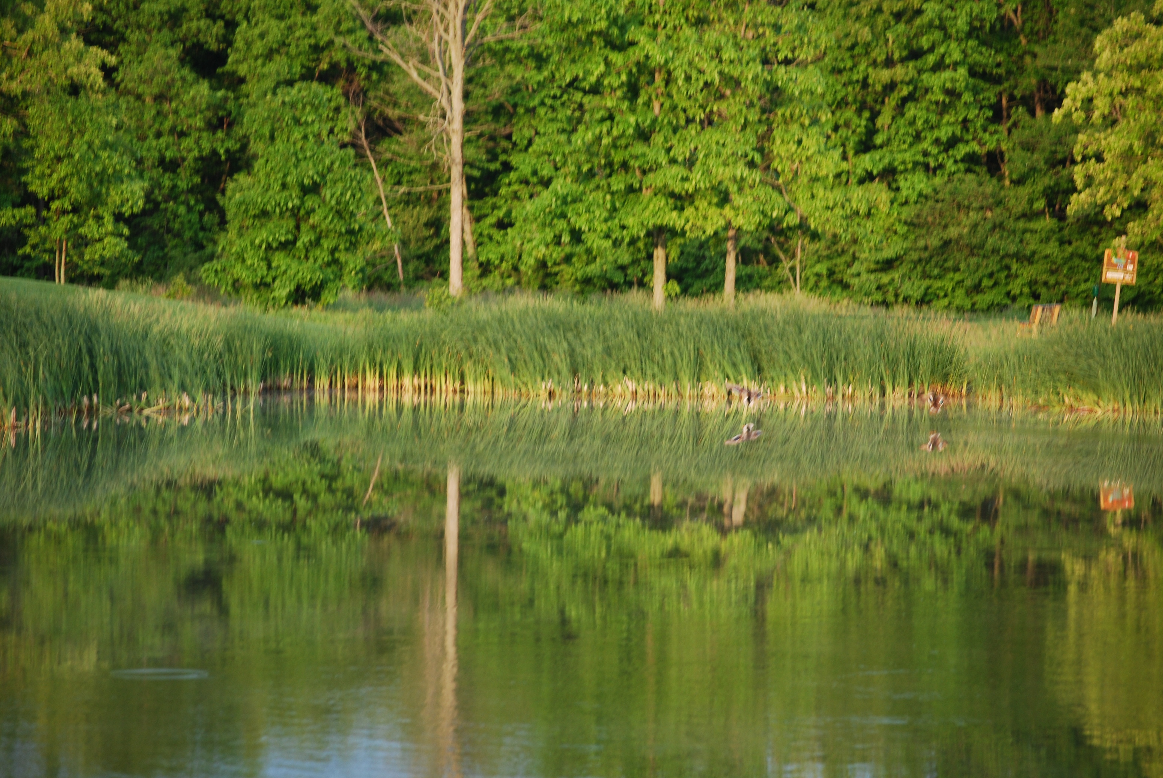 /img/DSC_0139-3872x2592.jpg