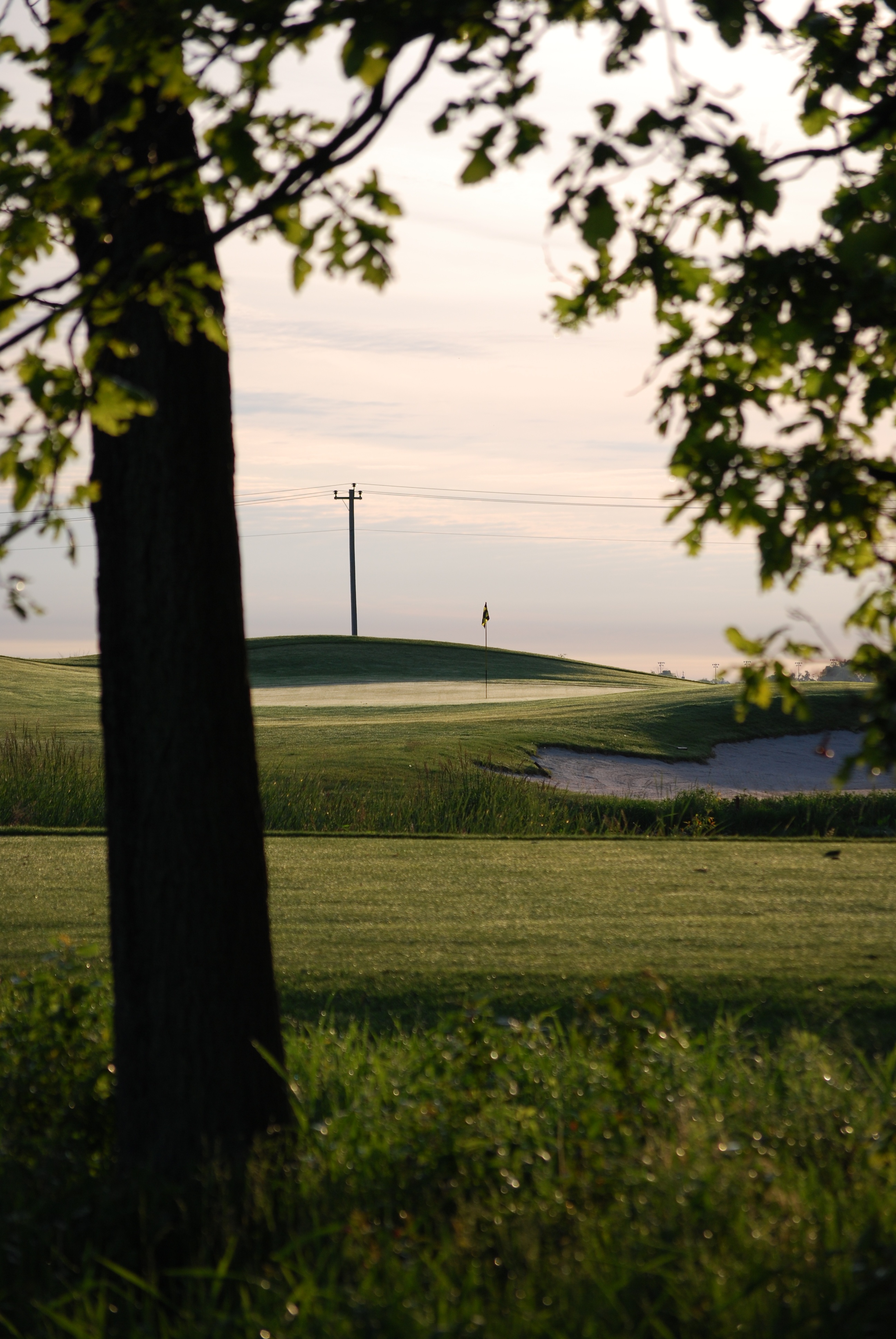/img/DSC_0152-2592x3872.jpg
